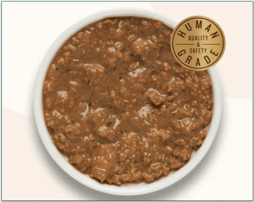 The Honest Kitchen's Minced Chicken & Salmon In Bone Gravy in a bowl