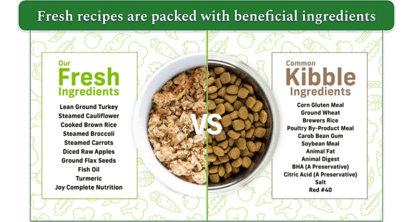 Comparison of fresh ingredients vs. common kibble ingredients