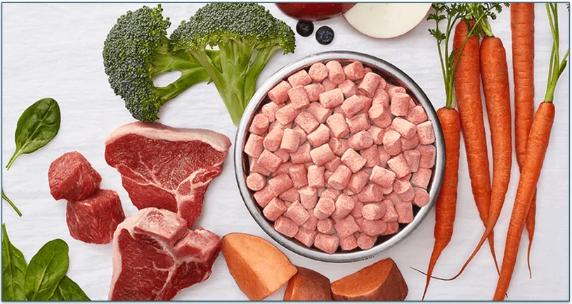 A bowl of Instinct's raw food surrounded by its fresh ingredients