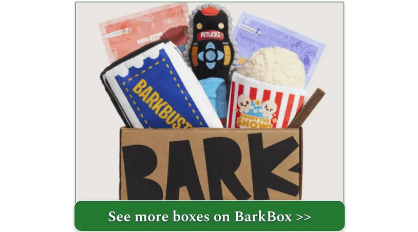 BarkBox's dog subscription box