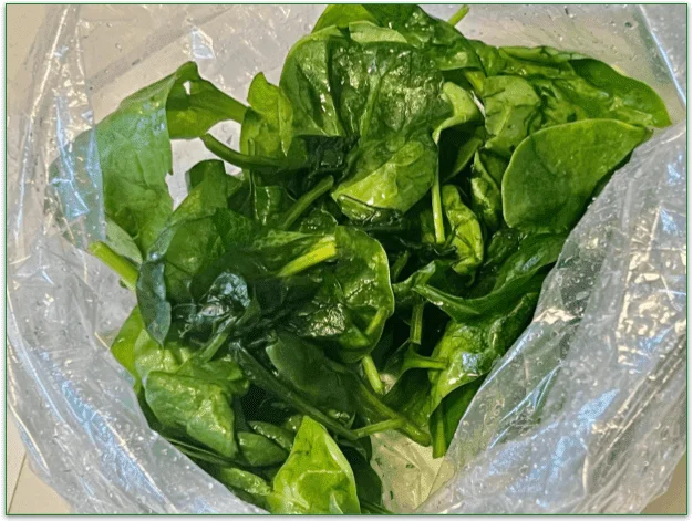 Bag of wilting spinach