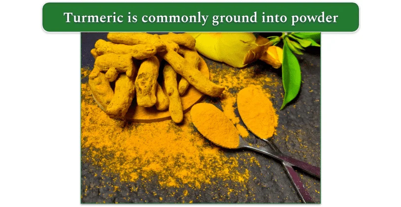 Turmeric root and ground turmeric on a table