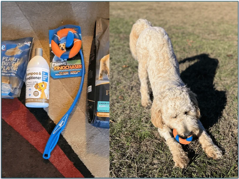 Image of Chewy items displayed on the floor next to a photo of a labradoodle playing with a toy shown on the image