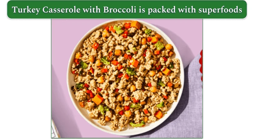 Turkey Casserole wet meal from The Pet's Table is one of 3 options