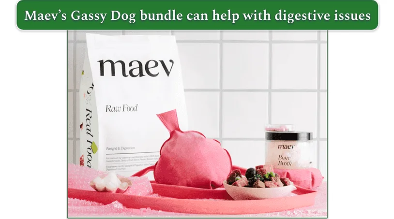 Screenshot of Maev’s The Gassy Bundle page