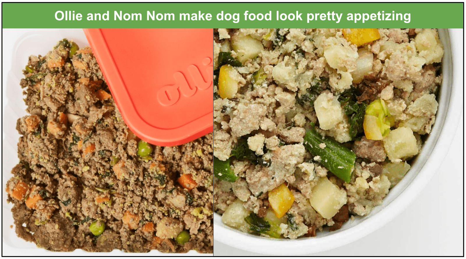 Nom Nom Dog Food Review 2023