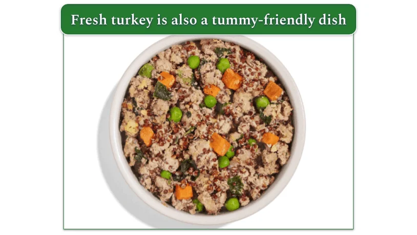 Spot & Tango's fresh Turkey + Red Quinoa recipe