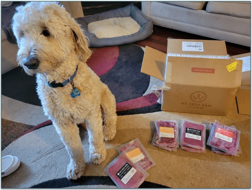 Our reviewers dog sitting next to We Feed Raw packages