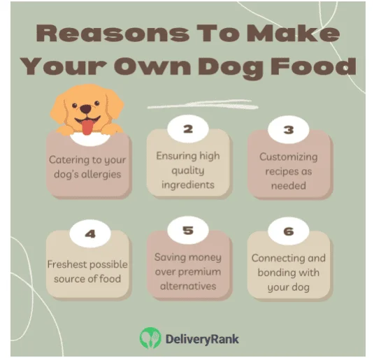 Infographic with 6 reasons to make your own dog food