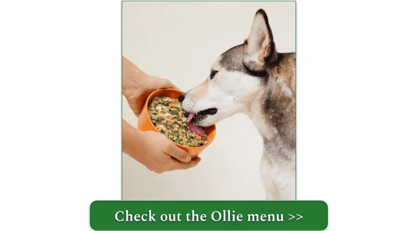  Ollie's Pork recipe in a bowl