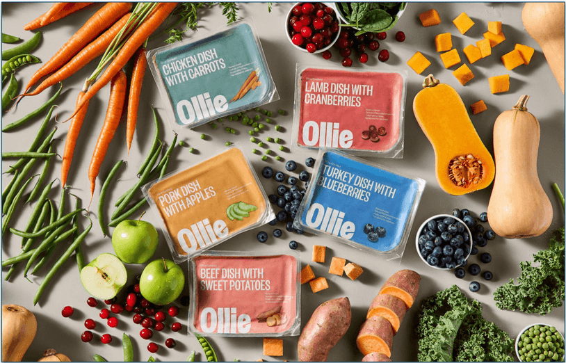 flat lay of Ollie's five fresh recipes in packs surrounded by fresh food