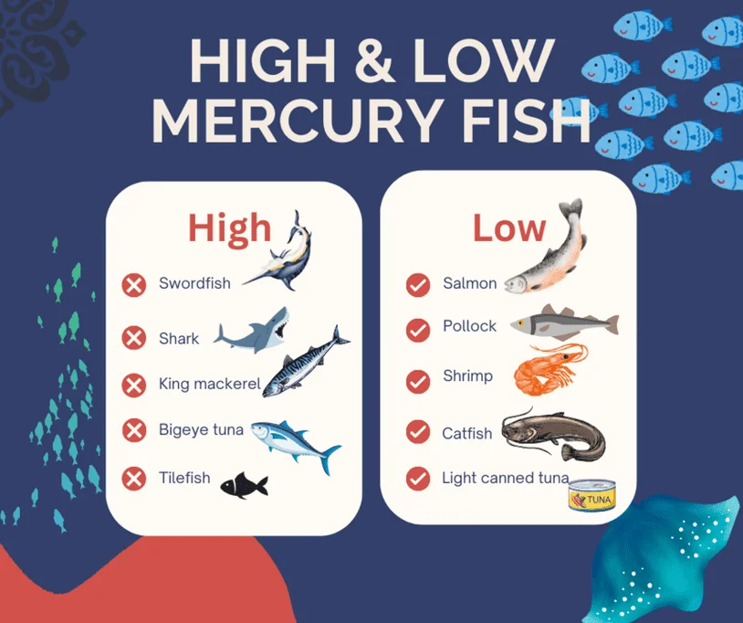 Infographic depicting high and low mercury levels in specific species of fish