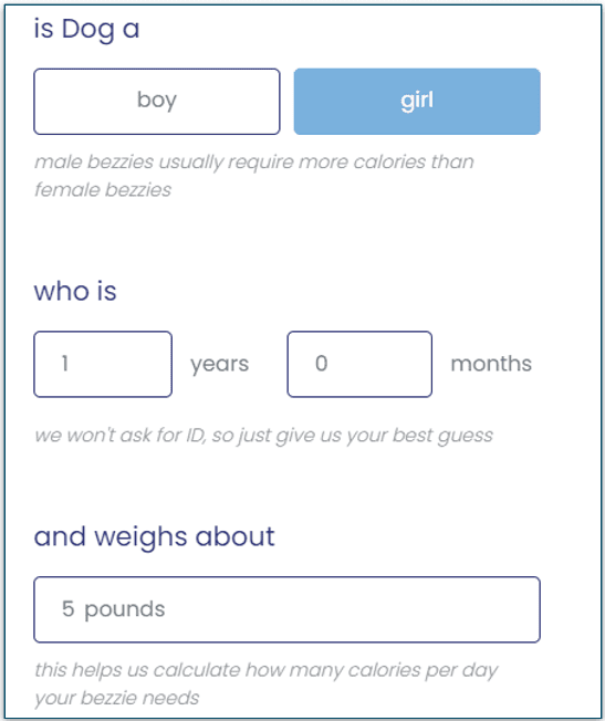 Bezzie's personalization quiz