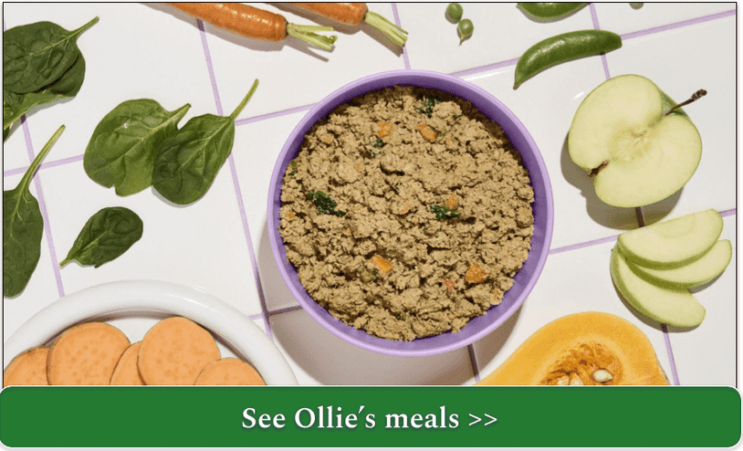 ollie fresh pork meal in a bowl surrounded by ingredients