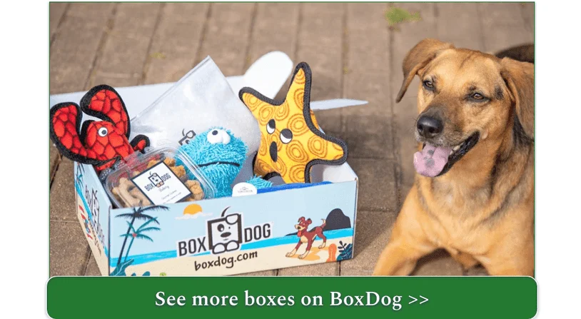 BoxDog's subscription box for canines
