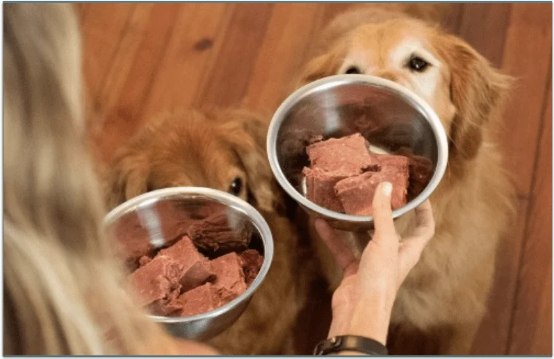 We Feed Raw's Venison Patty Recipe