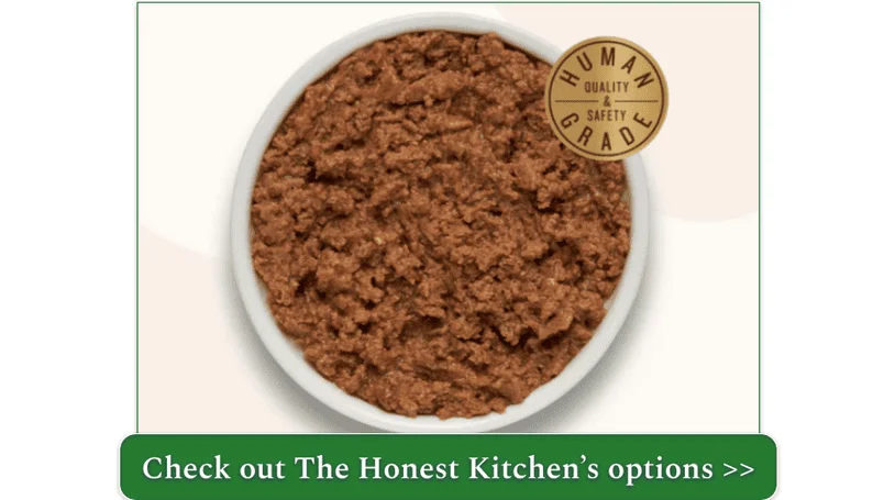 Bowl of The Honest Kitchen's Salmon and Cod recipe