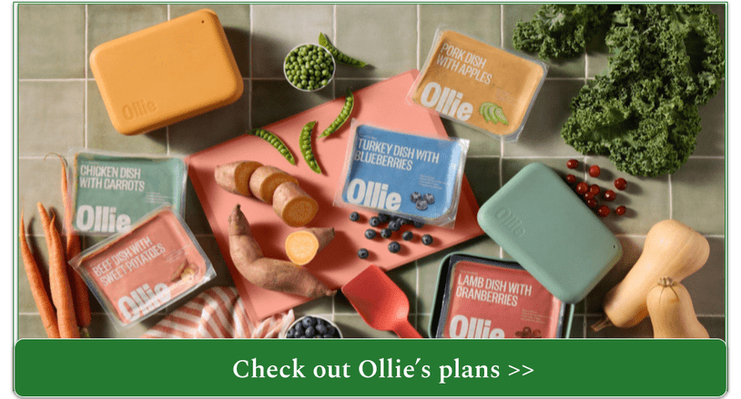 Selection of fresh Ollie meals