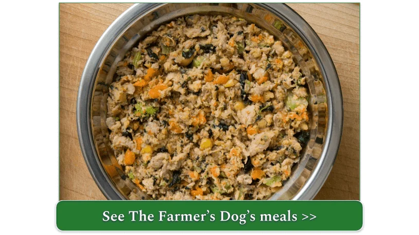The Farmer's Dog's Buddy's Turkey Recipe