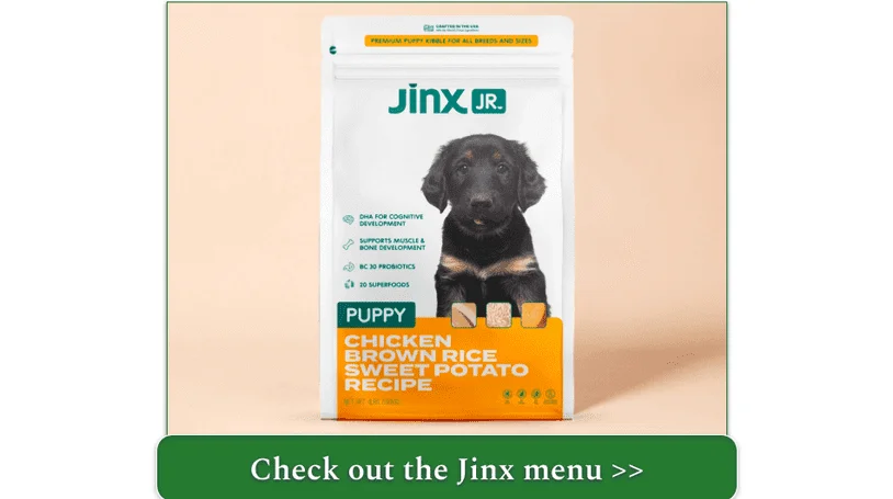 A bag of Jinx Jr. Chicken Brown Rice Sweet Potato Recipe for puppies