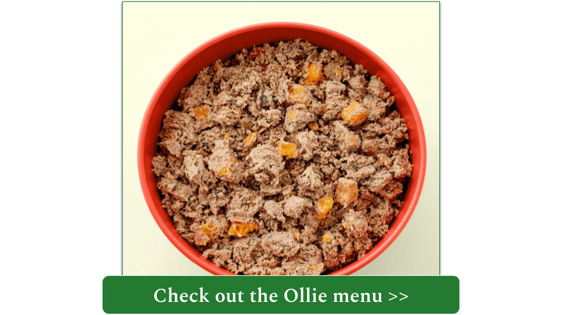 Ollie fresh lamb meal in red bowl