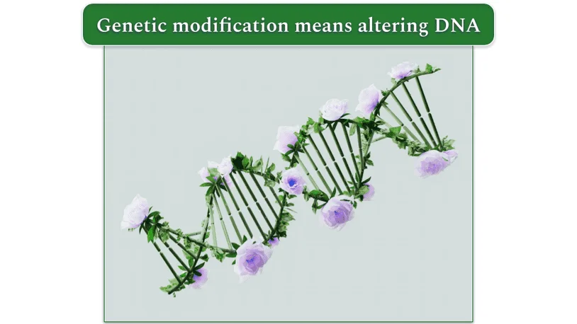 a ribbon of DNA with flowers