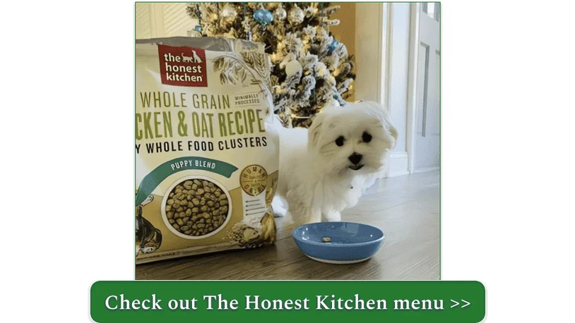 A picture of a small white dog standing in front of a Christmas tree beside a bag of The Honest Kitchen Whole Grain Chicken & Oat Recipe Clusters