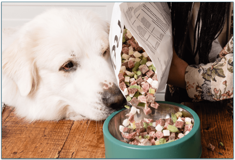 Maev's Chicken recipe being poured into a bowl as a dog watches