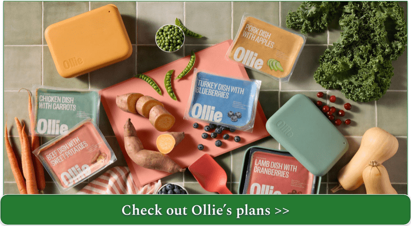 Selection of fresh Ollie meals