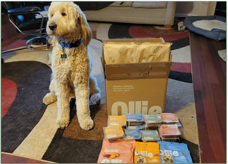  Photo of Baxter the Goldendoodle sitting next to his Ollie delivery of fresh and dried food options