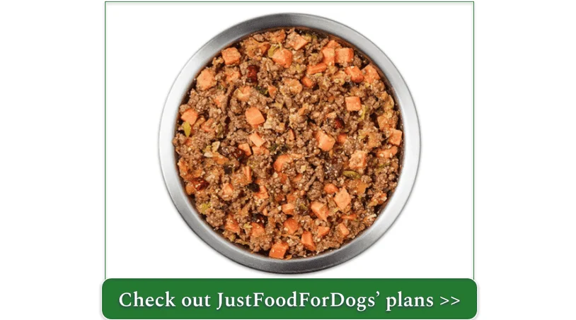 Venison & Squash Recipe by JustFoodForDogs