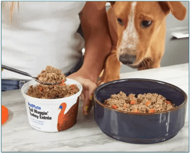 PetPlate fresh meal being served into a bowl