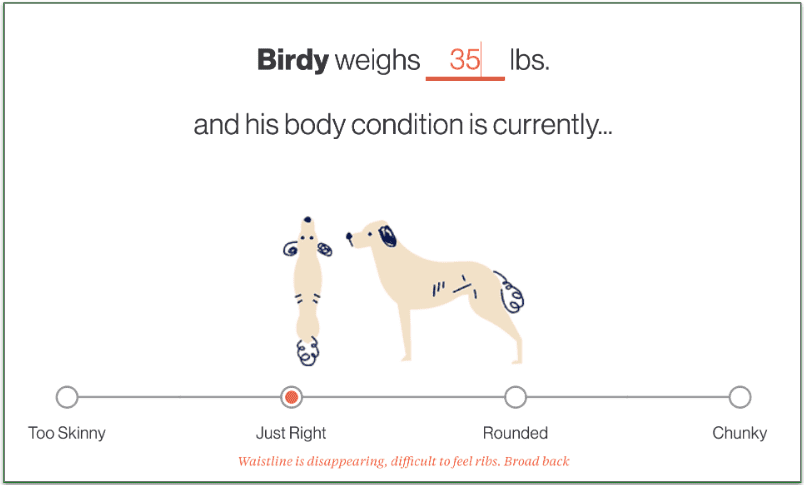 Screenshot of The Farmer's Dog Quiz page 2