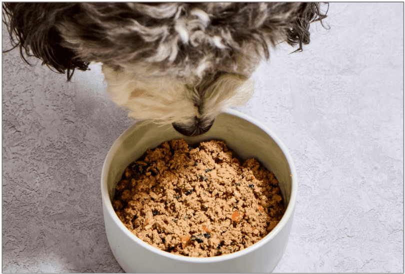dog eating Spot & Tango fresh meal from a bowl