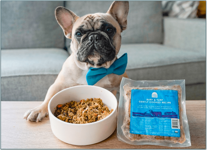 A dog standing by the Open Farm gently-cooked meal