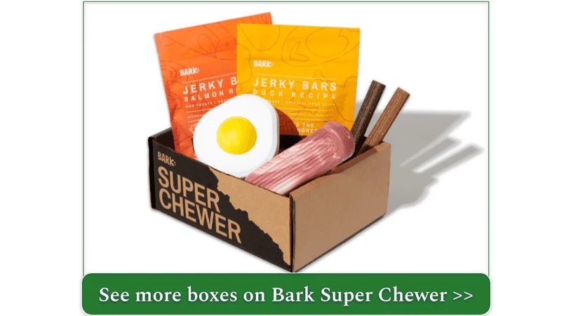 Bark Super Chewer's Barkfest in Bed