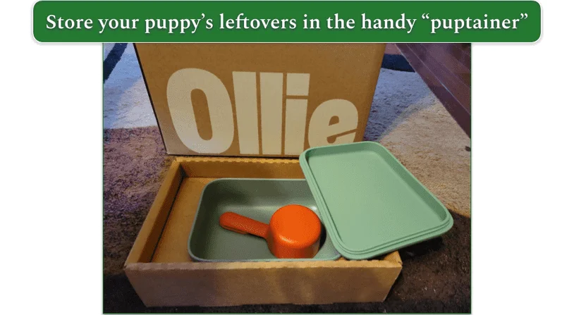 Unboxed Ollie delivery on the floor