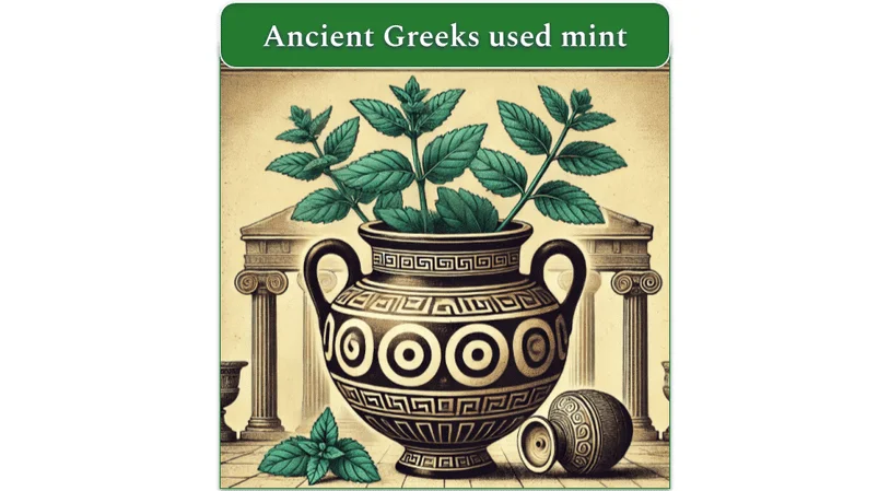 An mage showing mint leaves in an ancient Greek vase with parts of an Ionic temple visible in the background.