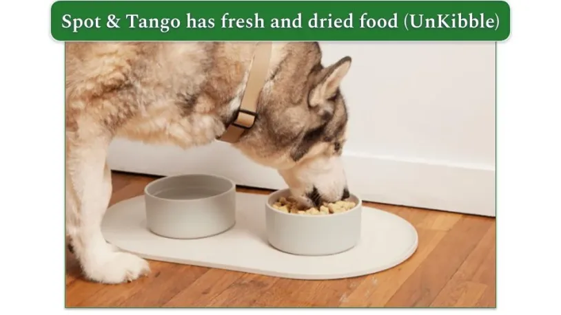 Image of a dog eating a bowl of Spot & Tango's UnKibble