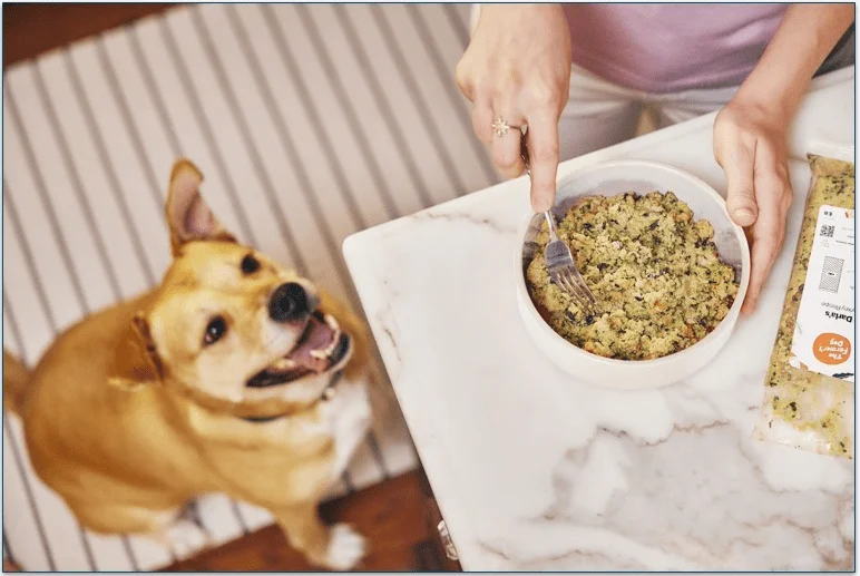 Dog sitting waiting as food is prepared in a bowl from The Farmer's Dog