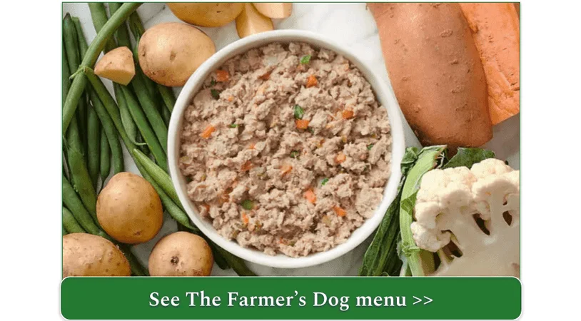 The Farmer's Dog's Turkey Recipe