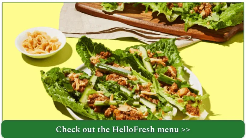 screenshot of HelloFresh's 10-minute Hoisin Pulled Pork with Lime-Marinated Cucumber and Crispy Fried Onions.