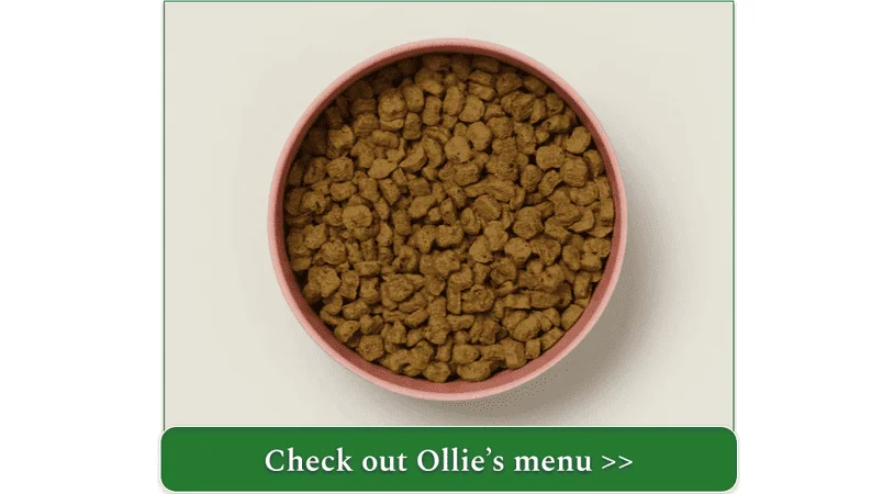 Baked beef recipe from Ollie