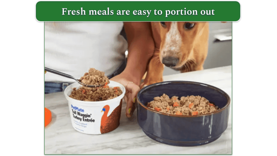 someone portioining a container of petplate's fresh turkey recipe into a bowl with a dog watching
