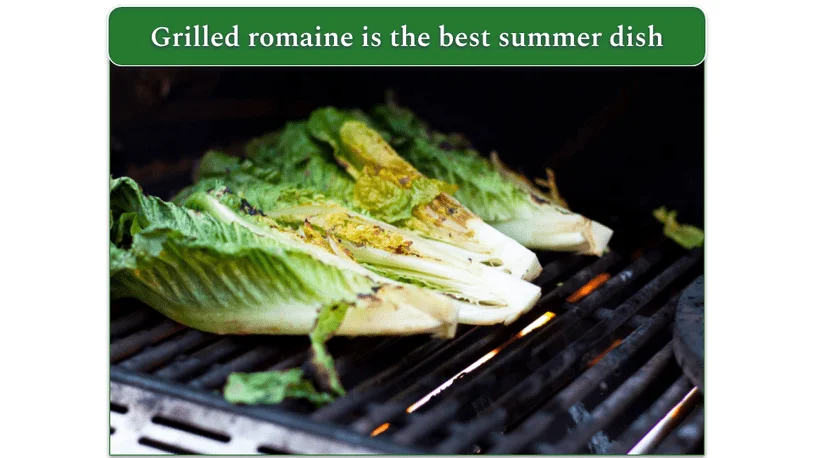 Romaine lettuce hearts on the grill