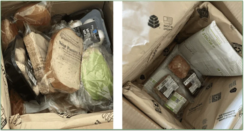 The fresh ingredients inside the EveryPlate box and the meats stored underneath with the ice packs