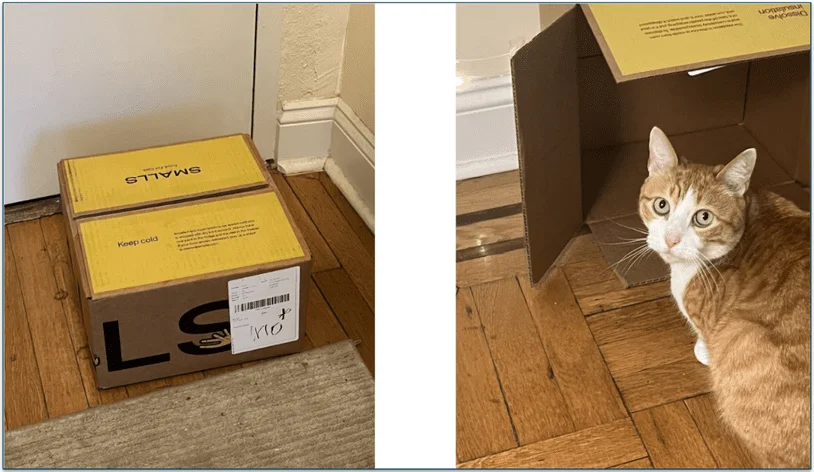 Photo of a Smalls delivery box on a doorstep next to a photo of Alvy the cat in front of the cardboard box looking at the camera