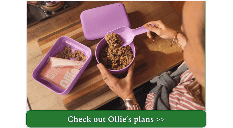 A person scooping Ollie's fresh beef meal into a bowl from a container