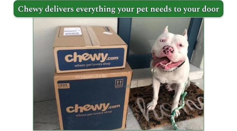 Chewy delivery box next to a dog
