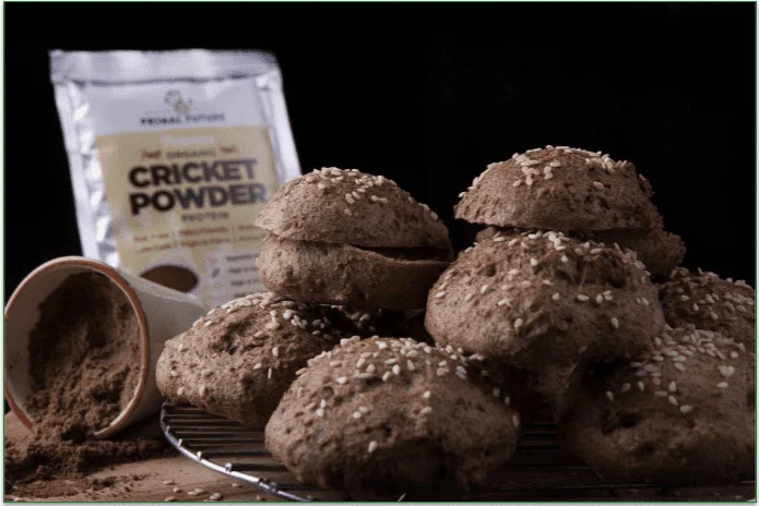 Image presenting a package of cricket powder in the background of a pile of freshly cooked buns.